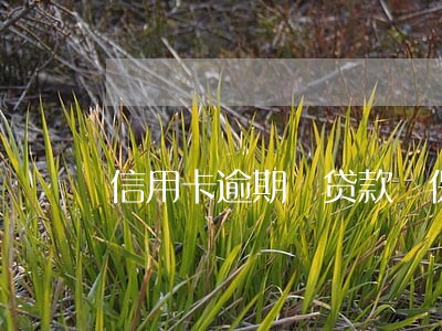 信用卡逾期 贷款 保险 信用卡逾期 贷款 保险